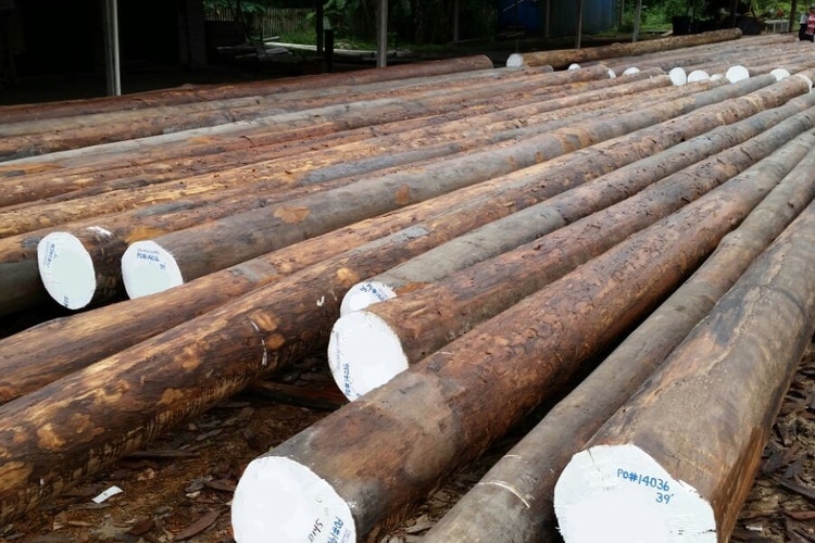 greenheart-round-piles-1